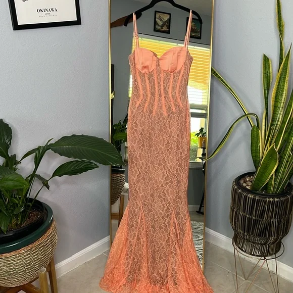 House of CB 'Coredlia' Sorbet Lace Godet Maxi Dress NWOT - Picture 6 of 9